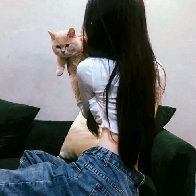 不倒侠